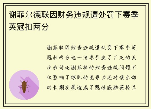 谢菲尔德联因财务违规遭处罚下赛季英冠扣两分